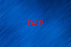 DAP条款介绍及与DDP的区别详解