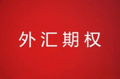 外汇期权优点及实用举例