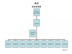 组织结构有几种结构详解