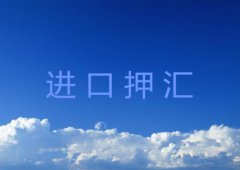 进口押汇种类详解