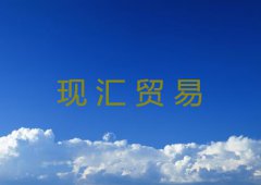 什么是现汇贸易超详细介绍