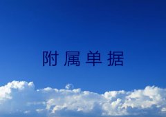 附属单据类型及用途详解