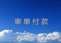 审单付款内容及类型介绍