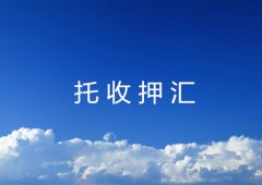 托收押汇的类型及特征详解