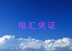 电汇凭证填写方式
